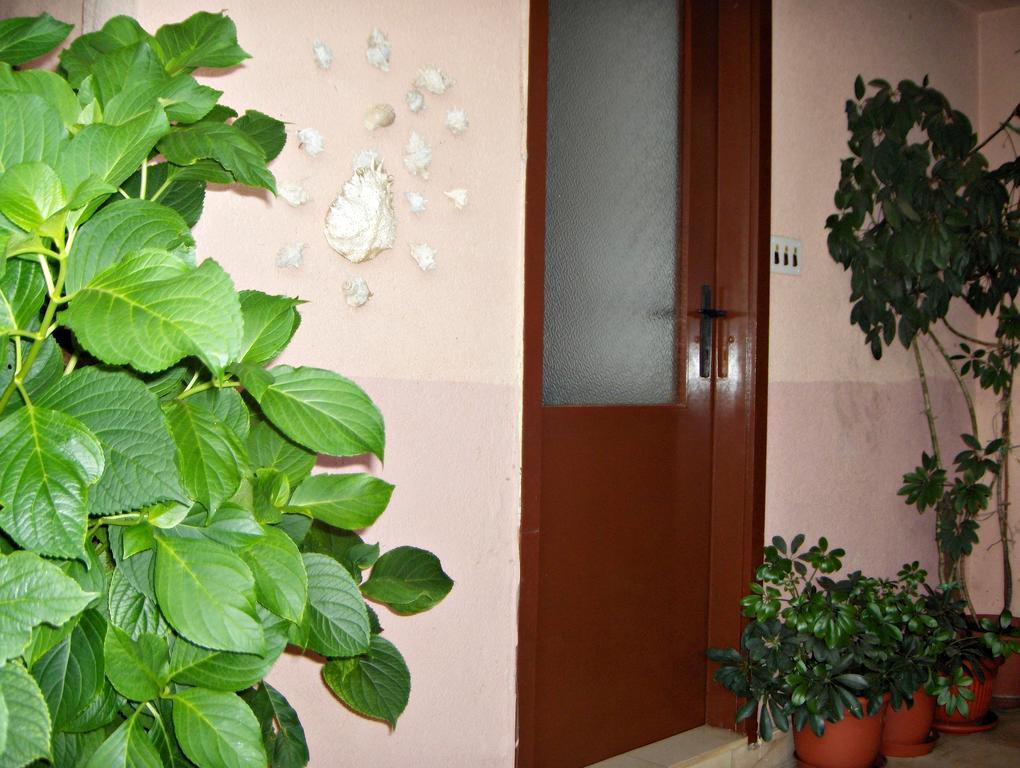 Gasthof Roza 3*