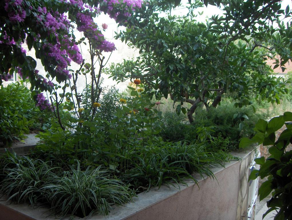 Roza Gasthof Vrboska